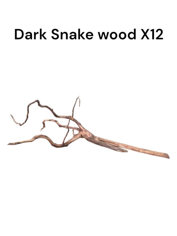 Dark Snake Wood X12